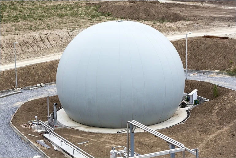 Digester & Biogas